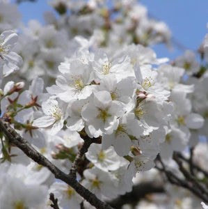 Meet your Posher, Lydia